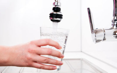 The BEST Water Filter Options in 2022