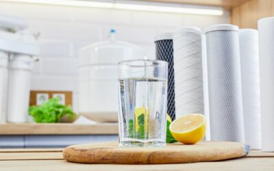Choosing the Right Water Filter: Under Sink Water Filters vs. Water Pitcher Filter
